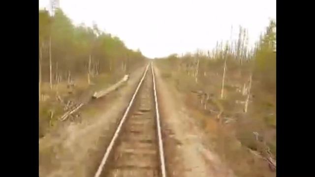 Скорый поезд к дому мчится