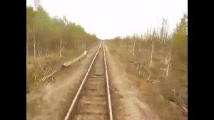 Скорый поезд к дому мчится
