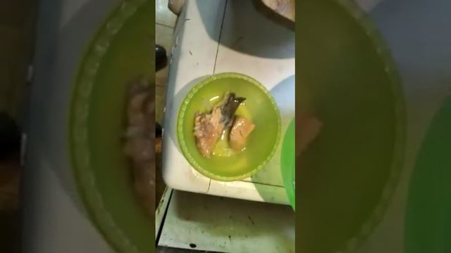 КРХ Белая Дача форель смотреть онлайн