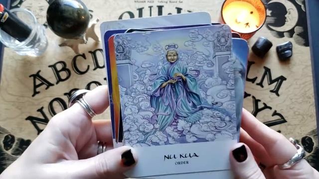 5 Decks I can't live without Oracle Edition VR to Kelly Bear 2019 смотреть онлайн