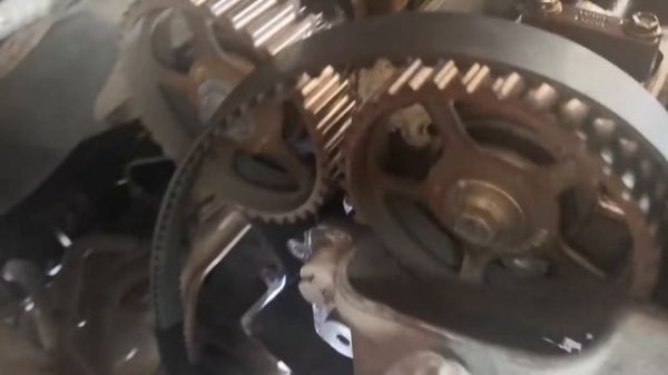 Ford Focus 1.6 меняем грм