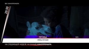 Анонсы, Свидетельство о Регистрации, Основная Заставка (Кинопремьера, 21.12.2023)