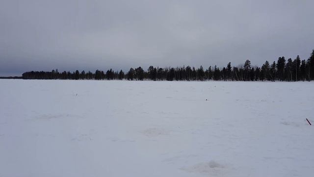 озеро горбатое. ХМАО. Белоярский район смотреть онлайн