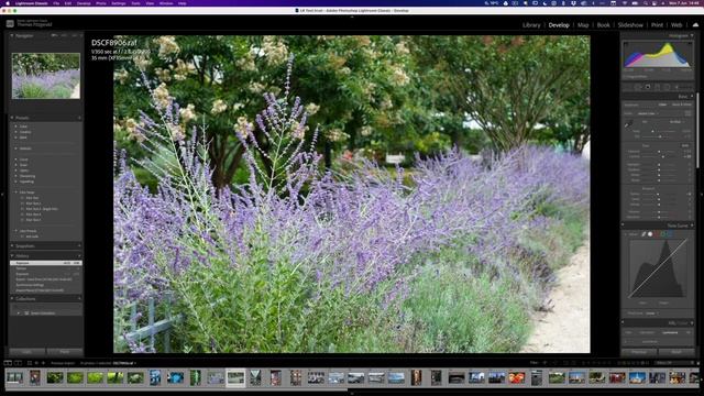 A Quick Test of Lightroom Classic 10.3 Native M1 version (Apple Silicon) смотреть онлайн