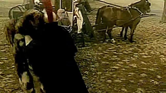 Всемирная история - Банк Империал. Все ролики смотреть онлайн