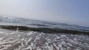 Сахалин, г. Холмск, Яблочное, 20.08.2021