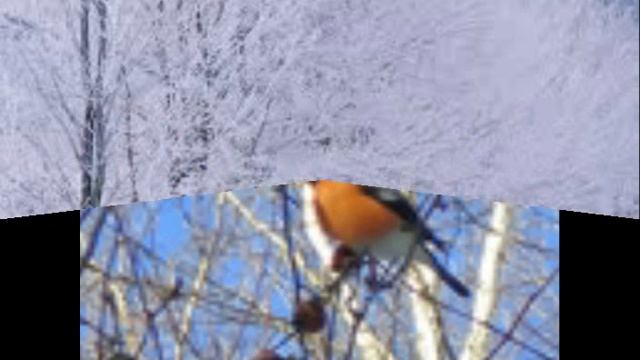 зимний пейзаж смотреть онлайн