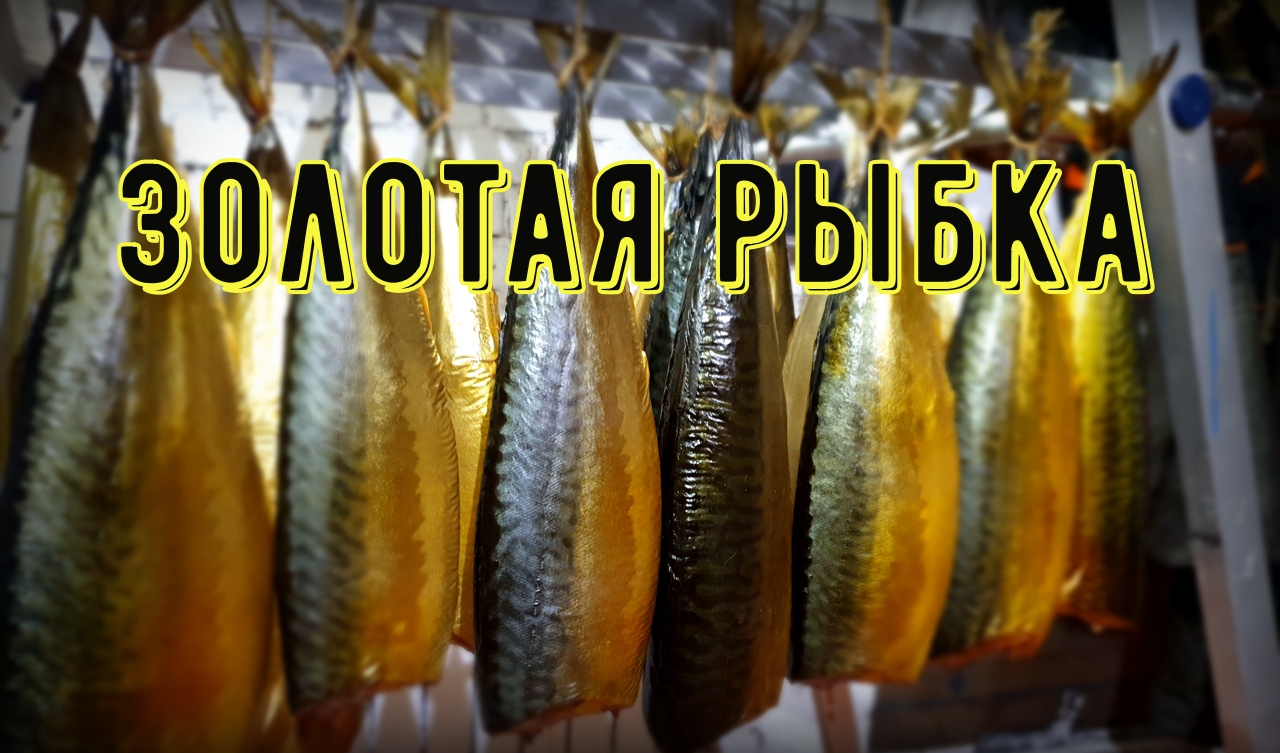 Скумбрия холодного копчения в домашних условиях смотреть онлайн