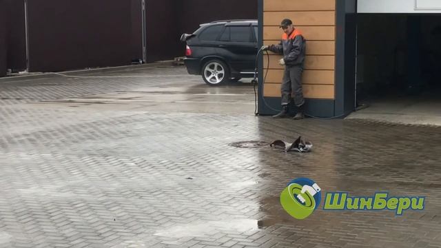 Тест качества ремонта в Шинбери смотреть онлайн