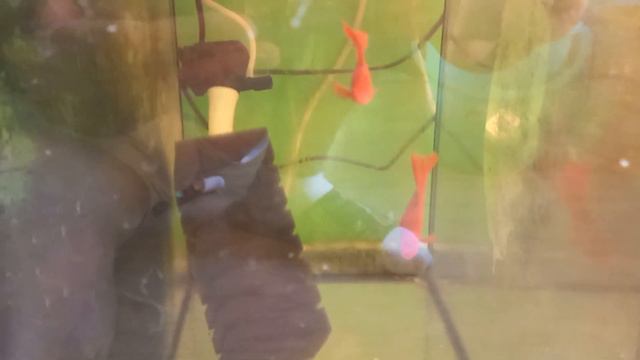 Обзор разводни 09.09.2023 год смотреть онлайн