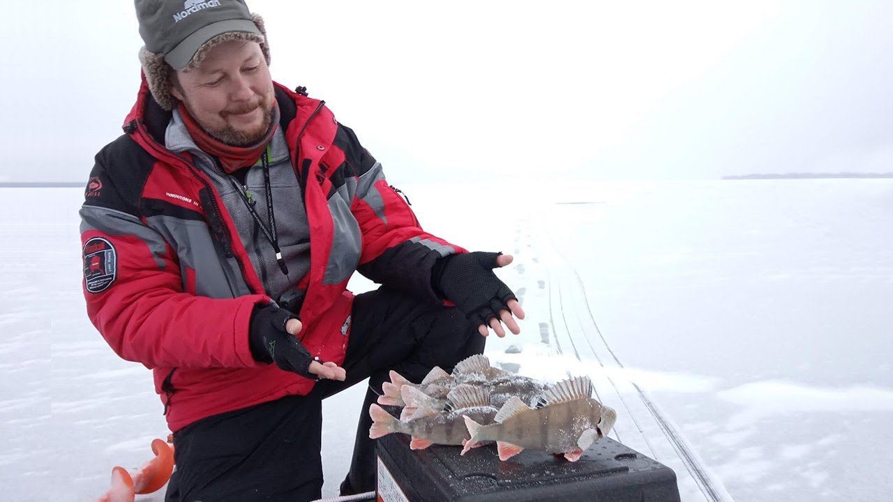 За окунем под Новый год. На этот раз сработали балансиры и блёсны небольших размеров. смотреть онлайн