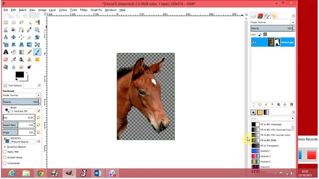 Gimp Tutorial: How to add a layer mask смотреть онлайн