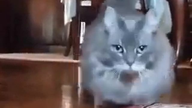 Приора лада смотреть онлайн