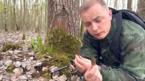 Сморчки! Где искать и как опознать? топ пять весенних грибов