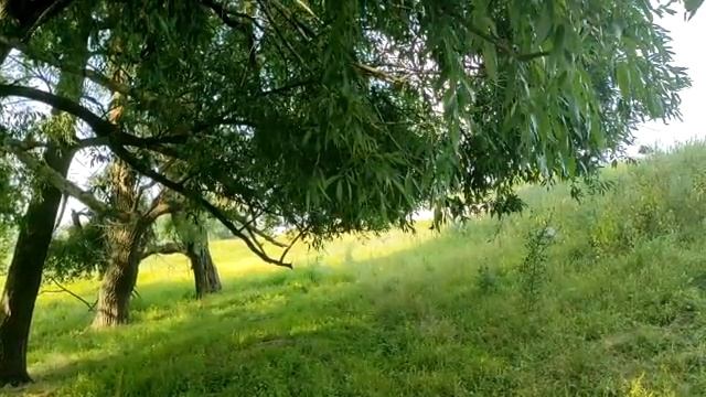 Ваша жизнь изменится, как только перестанете ждать. смотреть онлайн