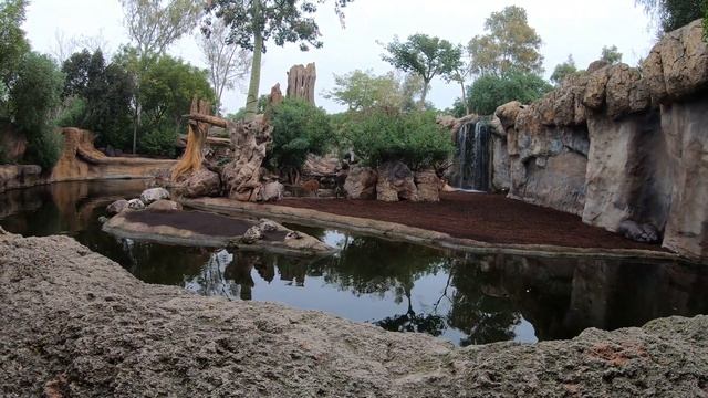 Зоопарк который нужно посетить. Биопарк в Валенсии. смотреть онлайн