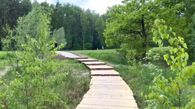 MESHERSKY PARK 4K | МЕЩЕРСКИЙ ПАРК | МЕЩЕРСКИЙ ПЛЯЖ | МЕЩЕРСКИЙ ПРУД | NATURE OF RUSSIA 4K смотреть онлайн