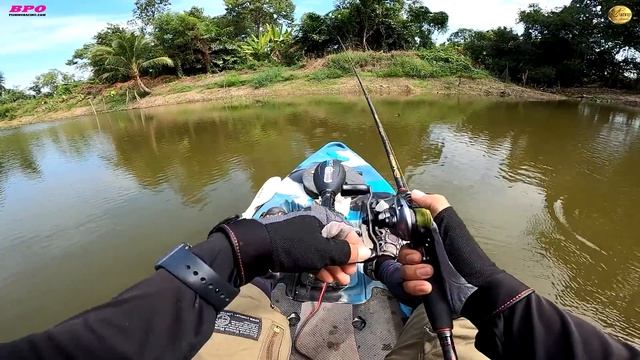 บุฟเฟ่ต์ ปลาช่อนคลอง ธรรมชาติ!!! คัดไซส์ล้วนๆ | Kayak Fishing смотреть онлайн