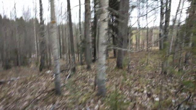 эжва лыжная база гуляли 2 29 октября 2023 год смотреть онлайн
