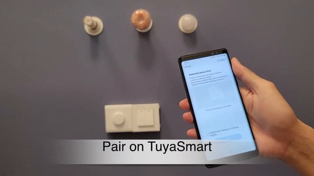 Powered by Tuya- Smart Switch Two Gang смотреть онлайн