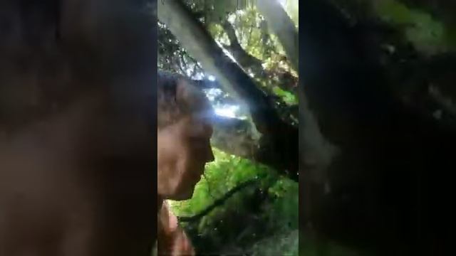 Родник в Сосновке Орловская область смотреть онлайн