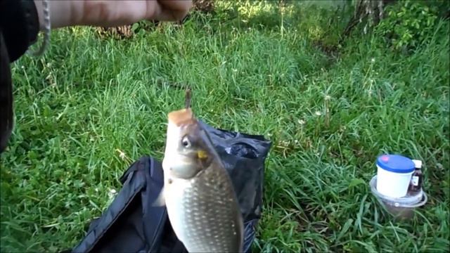 На рыбалку в Омскую область 2 смотреть онлайн