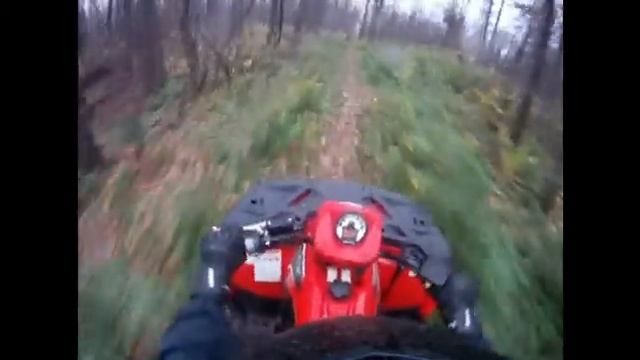 квадроциклы в лесу смотреть онлайн