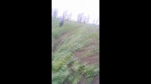 В Спецшколе кнутом бьют детей