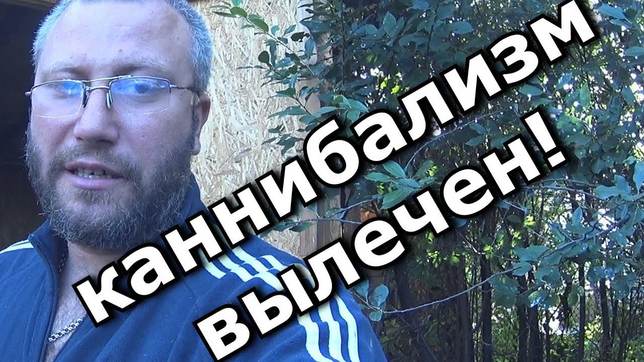 Перепелки перестали есть друг друга