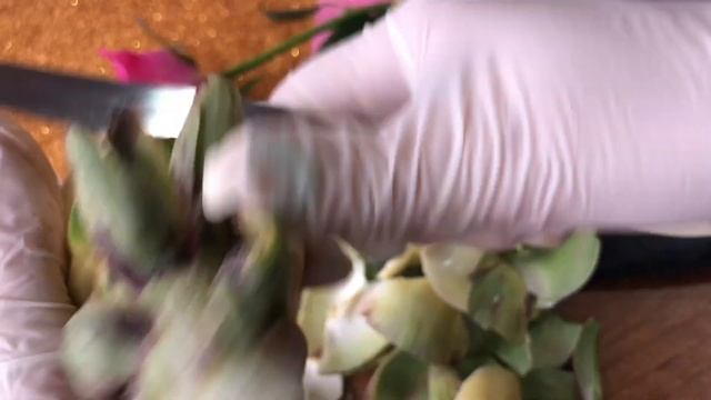 Кулинарные Тайны