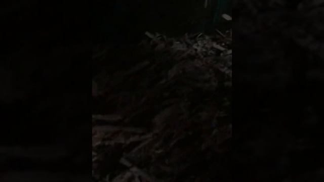 Как помыть клетку кролику/всё о кроликах смотреть онлайн