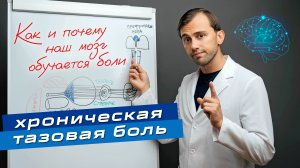 Хроническая тазовая боль: КАК МОЗГ ОБУЧАЕТСЯ БОЛИ (главная преграда на пути к выздоровлению)