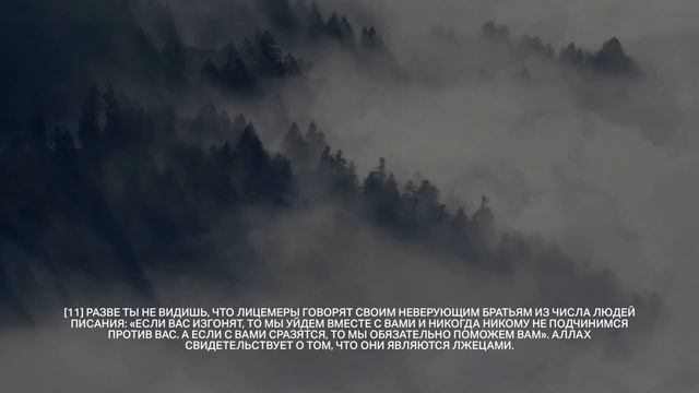 Идрис Абкар | Сура 59 «Аль-Хашр» смотреть онлайн