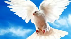 Hogevor Erger. Alekoc covi vera. Айк Погосян