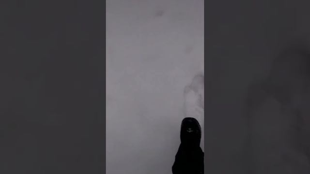Клип к песне "Вообразилия" смотреть онлайн