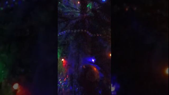 #new #year #holiday #2023 #2022 #newyear #новыйгод #fir #christmastree #елка #праздник #нг #tree смотреть онлайн