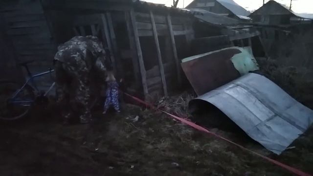 французский бульдог Бонита ревнует папу! ф смотреть онлайн