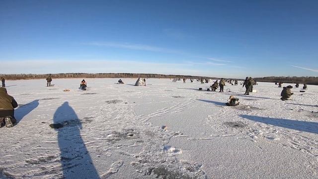 ЛОВЛЯ РОТАНА! В БРОД! Смотри сколько народу! смотреть онлайн