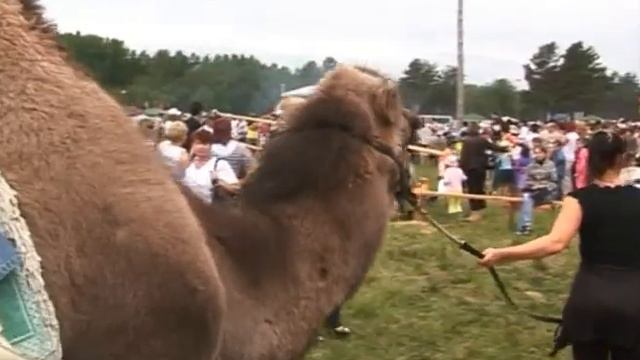 Сабантуй (татаро–башкирский праздник) смотреть онлайн