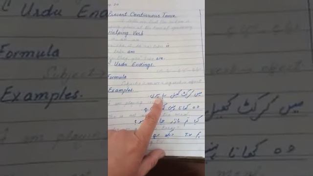 English class 8 dated 16/12 смотреть онлайн
