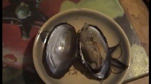 Как приготовить Мидии озерные быстро