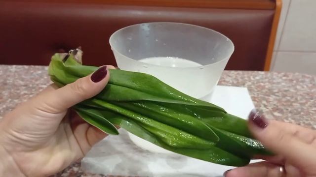 Орхидея Верин башмачек пафиопедилум (паф)/ наращиваем корни/ эксперимент. смотреть онлайн