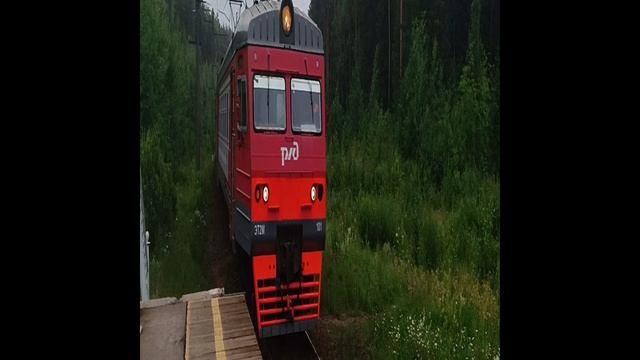 ЭТ2М-101 Герой имени России Кожемякина Дмитрия Платформа Сады смотреть онлайн