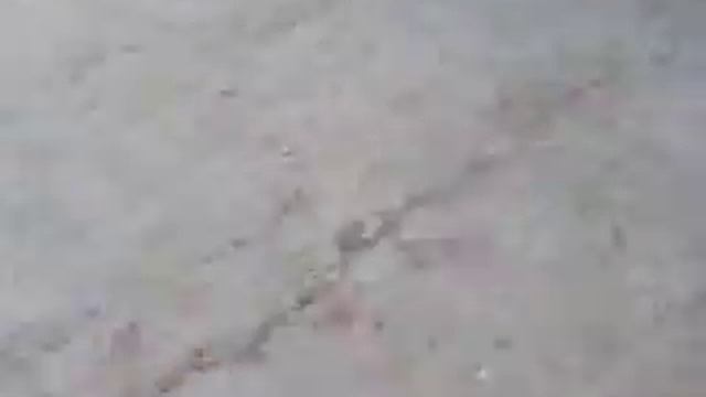 Пятый раунд игры городок смотреть онлайн