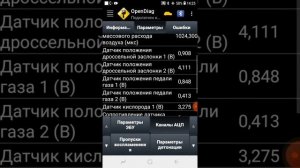Как проверить электронную педаль газа  (е-газ) и дроссельную заслонку .
