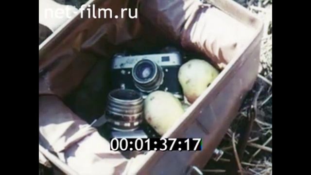 1975г. совхоз Гигант Сальский район Ростовская обл. смотреть онлайн