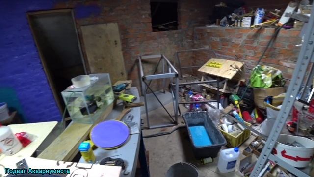 Начал плотно заниматься подвалом, и как я избавился от бурых водорослей) смотреть онлайн