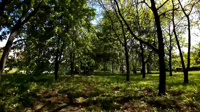 Cinebot 30 DJI O3 6S - первые тестовые полеты, видео с Dji O3 Air Unit смотреть онлайн