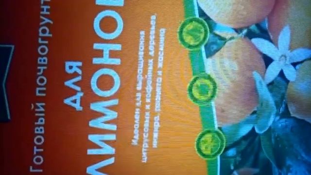 Пересадка лимона/Куда,когда,каким образом,как,в какую землю и зачем пересаживать цитрусовые. смотреть онлайн