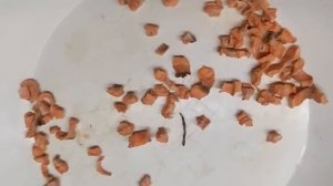 САМАЯ СКРЫТАЯ НАСАДКА НА КАРАСЯ И КАРПА  Карась карп теперь не проблема  Насадка для карася на кара